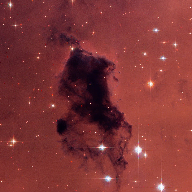 Hubble snaps Bok Globules in Star-Forming Region NGC 281