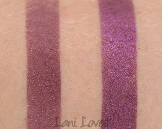 Notoriously Morbid Raisin Girl Eyeshadow Swatches & Review