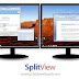 Download SplitView 2018 - Software management and split one or more screens