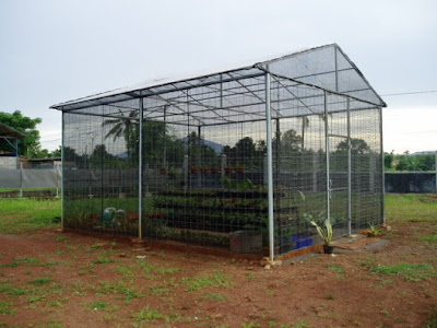Tips & Trik Membuat Greenhouse Sederhana Dengan Paranet | Jual Paranet