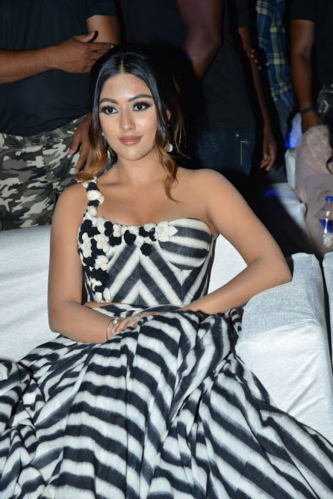 Anu Emmanuel at Naa Peru Surya Naa Illu India Pre Release Event
