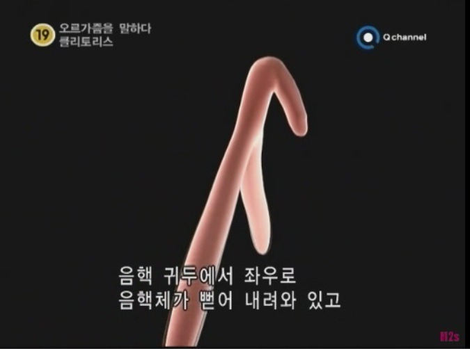 오르가즘을 말하다, 클리토리스 - 디쁠