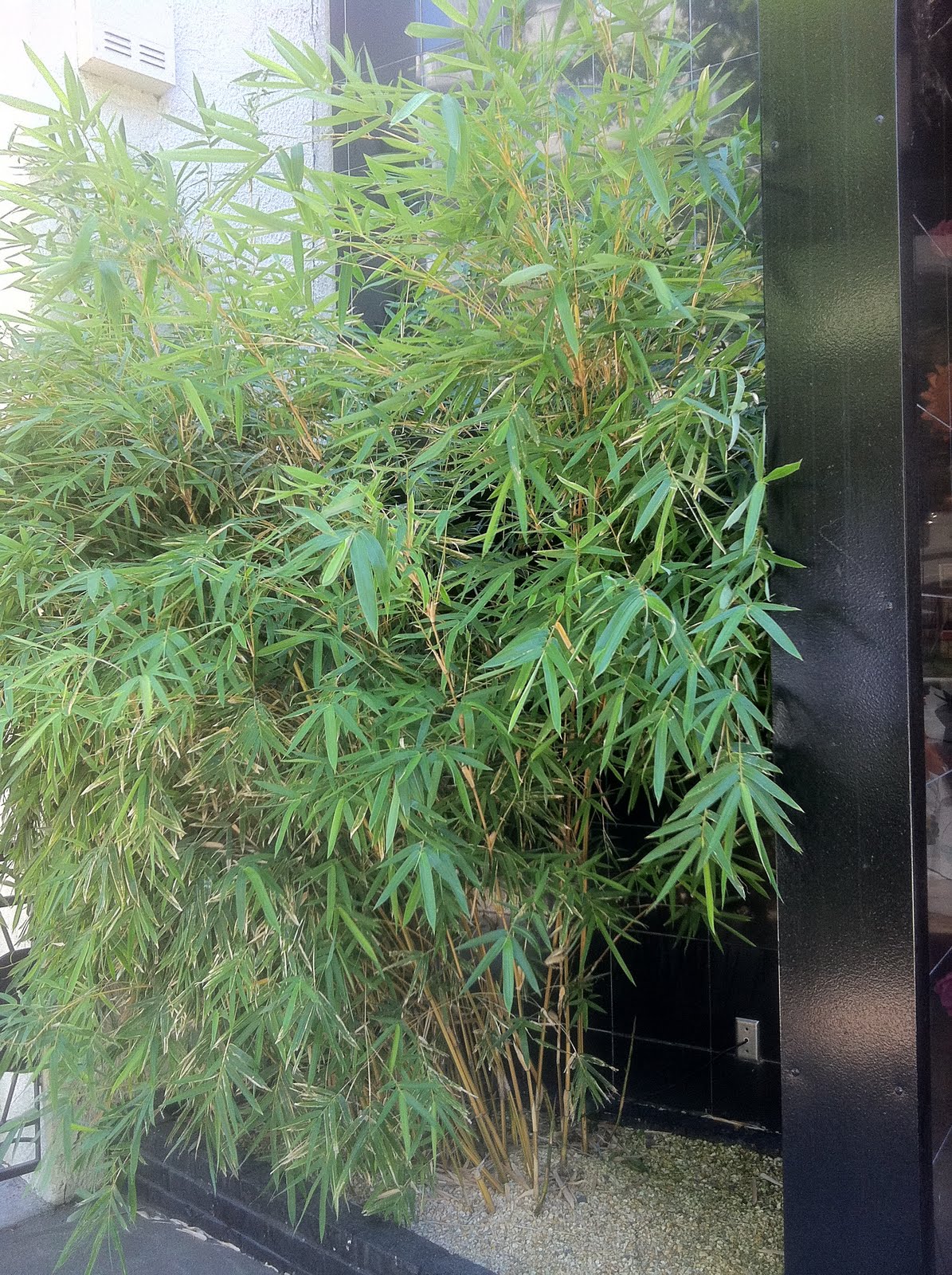 Art Supply Stores Art Supply Stores Sacramento