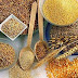 Ração Humana - Receita caseira - Ingredientes e fórmula