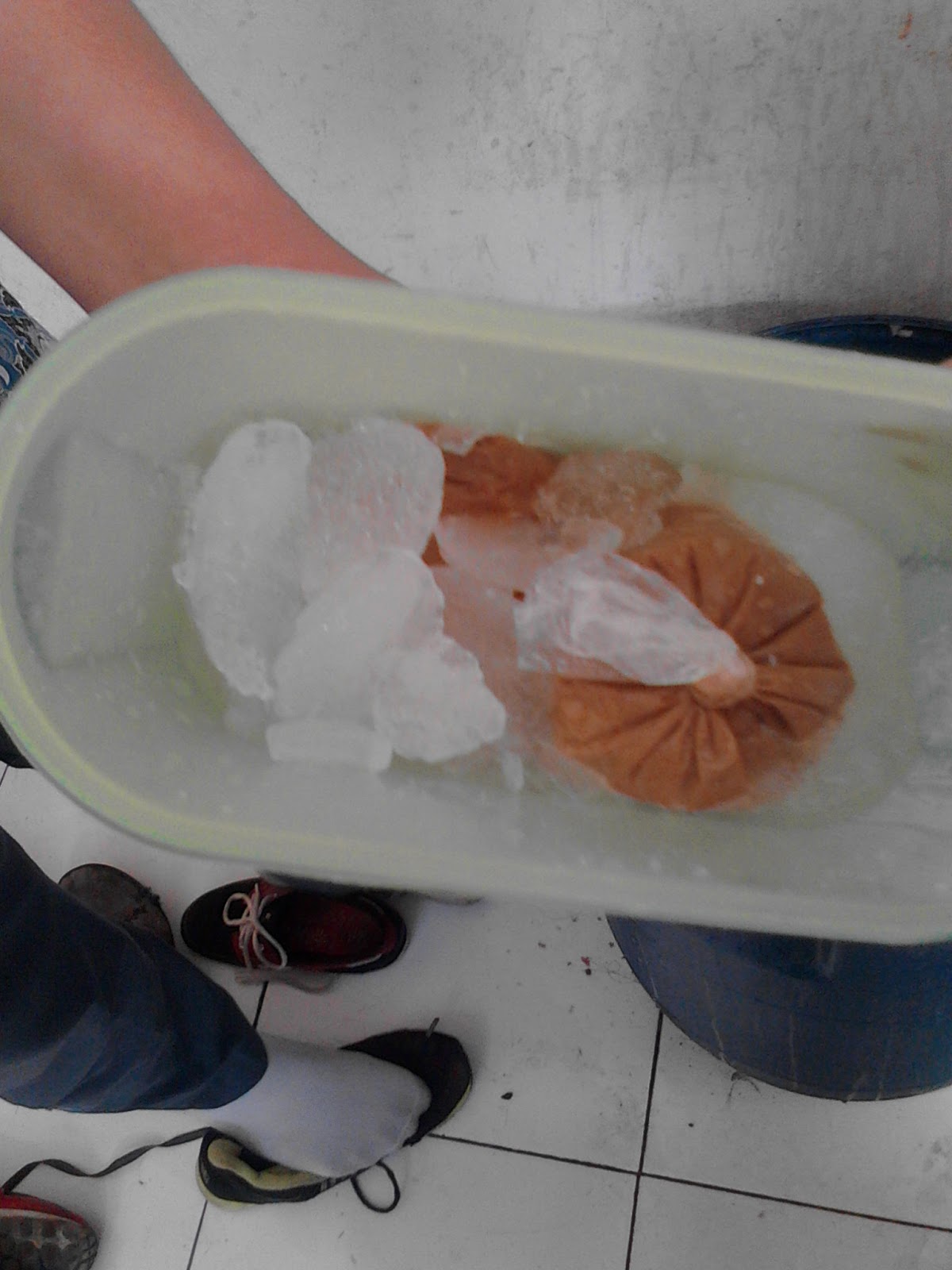 ekstory Laporan percobaan sifat koligatif larutan