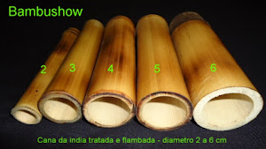 Bambu Cana da india tratado e flambado