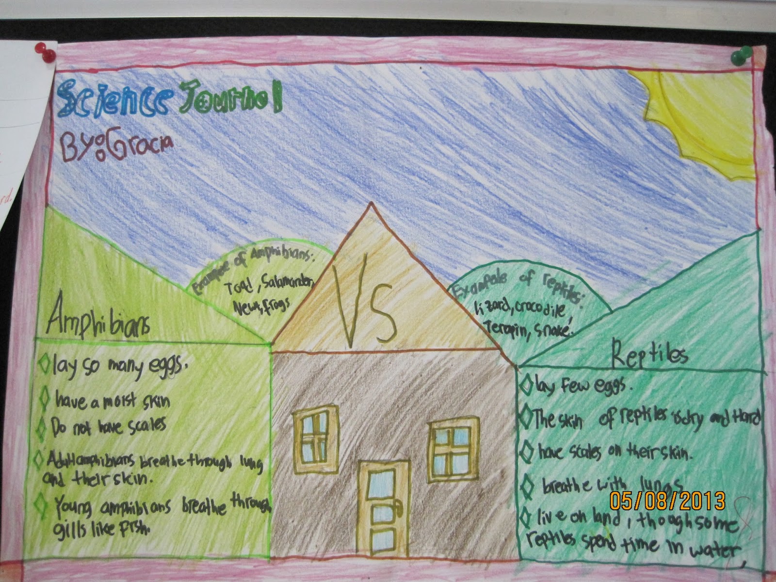 Our Fantastic Journey Of Learning: Reptiles Vs Amphibians