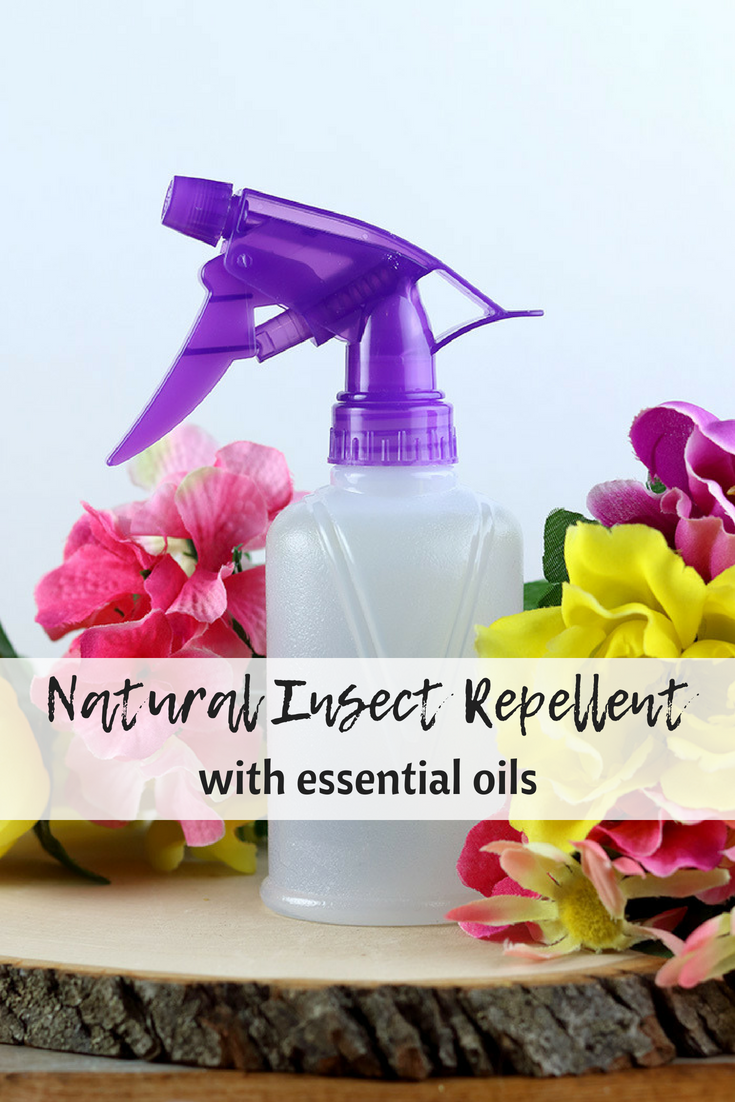 Homemade Insect Repellent Spray Recipe With Essential Oils,American Airlines Baggage Allowance 2020