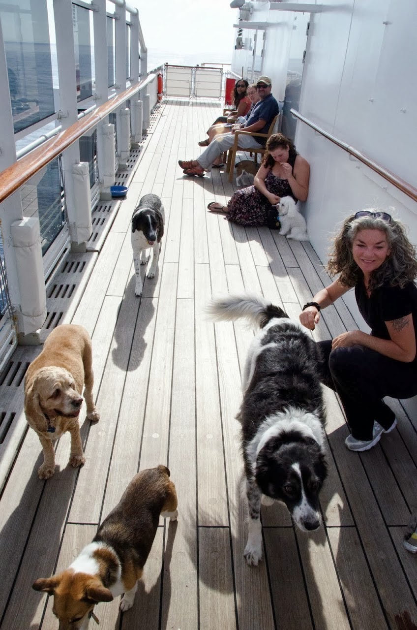 Traveloscopy Travelblog Pet Friendly cruises on Cunard's Queens