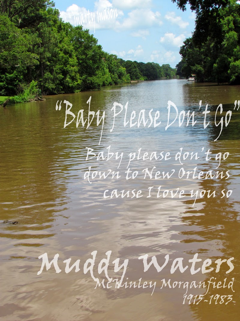 A Muddy Waters lyric to live by........Marty Mason 