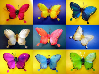 butterfly colored