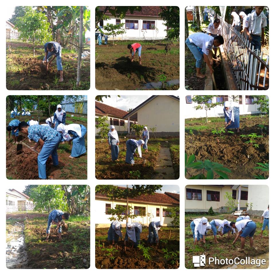 Contoh Argumentasi Tentang Lingkungan Sekolah Yang Nyaman