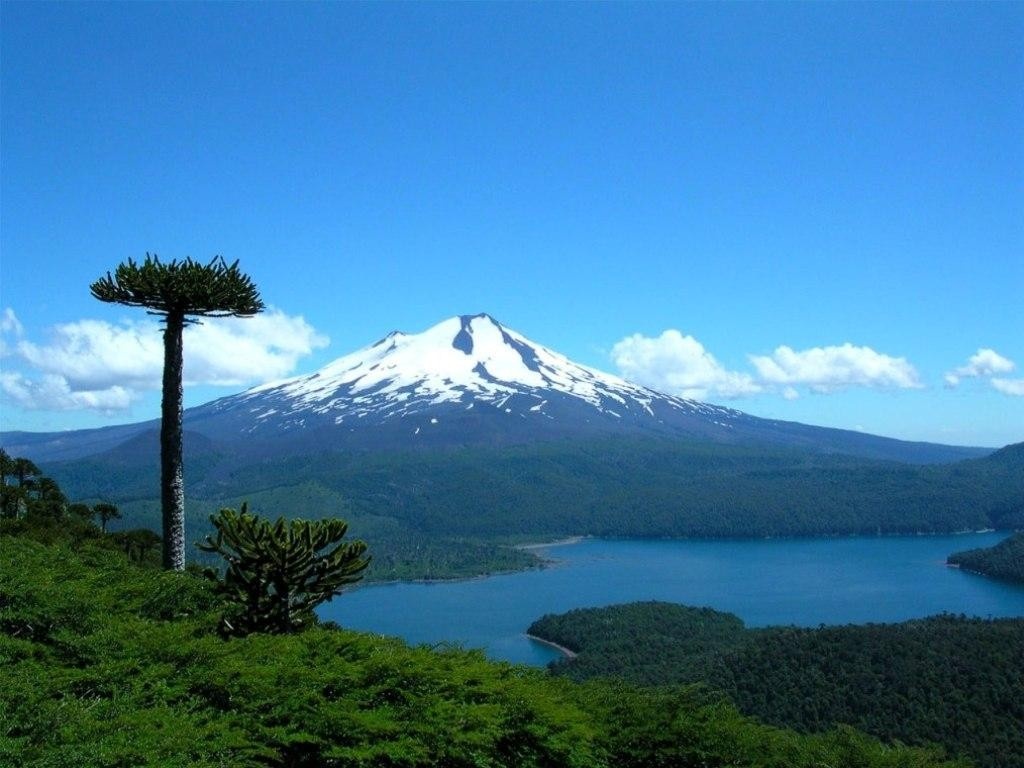 http://4.bp.blogspot.com/-Q-ypZcbK3tM/T1kt7uSgDYI/AAAAAAAAASw/xWUwZVgou0k/s1600/Free_Nature_Wallpaper_Llaima_Volcano_In_Chile.jpg
