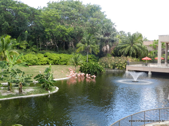 Jungle Island Miami