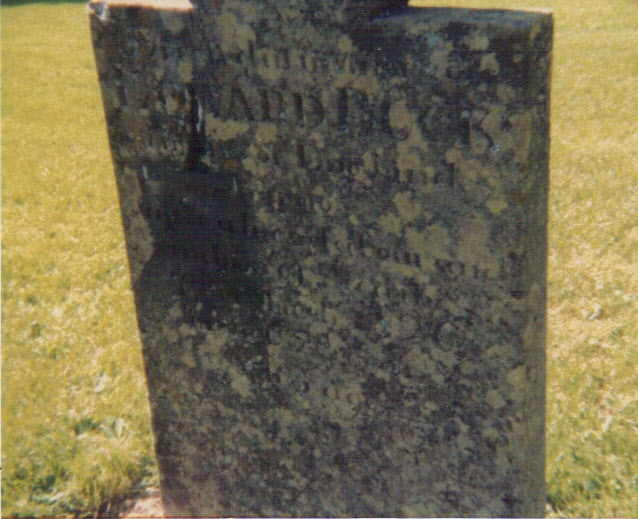 The Pye Plate April 2013