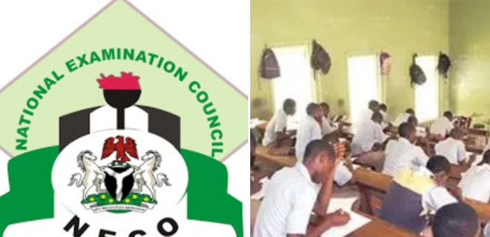 Agitation leaching theory and practice biology essay picture