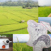 รีวิวเที่ยวปัว น่าน สุขสำราญเบิกบานใจ วิวทุ่งนาเขียวสดสีงามวิไล ขับมอเตอร์ไซต์แว๊นไปดอยภูคา จิบน้ำชาชมวิวเบิกฟ้า สวยเลอค่ายิ่งนักเอย