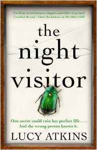 Review: The Night Visitor by Lucy Atkins