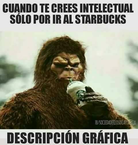 CUANDO TE SIENTES INTELECTUAL POR IR AL STARBUCKS CUANDO TE SIENTES INTELECTUAL POR IR AL STARBUCKS