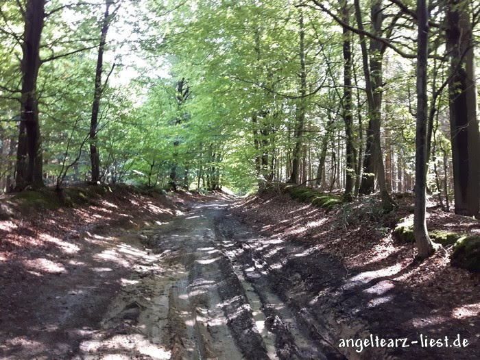 Handelsweg im Naturpark Aukrug - Schleswig-Holstein Handelsweg im Naturpark Aukrug - Schleswig-Holstein