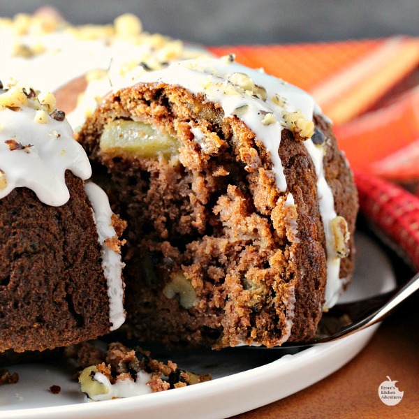 Apple Rum Raisin Cake | by Renee's Kitchen Adventures - A moist flavorful special occasion cake recipe perfect for your dessert spread for Thanksgiving or Christmas 