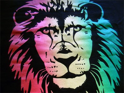 http://www.nosolocamisetas.com/camiseta-like-a-lion