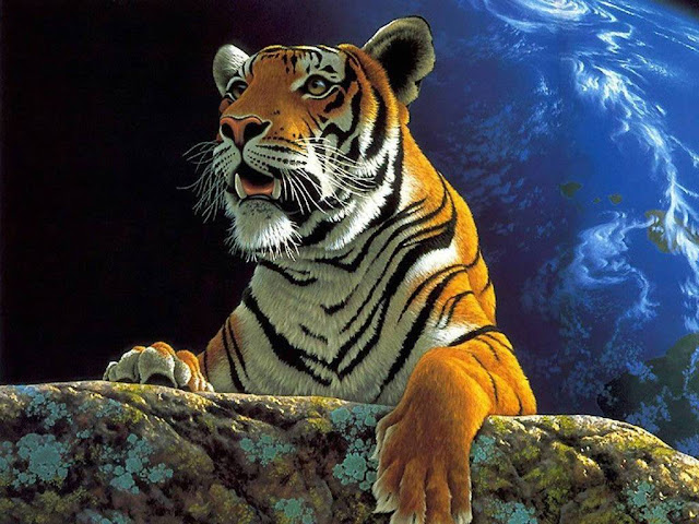 Fondo de pantalla tigre - Imagui