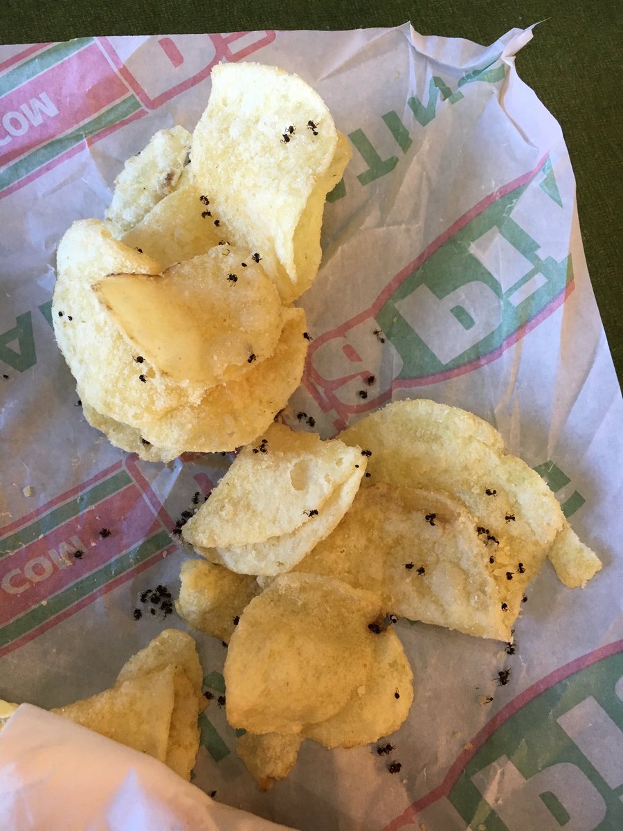 Buzz Kill Ramblings of Tim Louie NEW POTATO CHIP SEASONING.....ANTS!