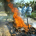 Cameroun: la ferme de Mvog-Betsi en quarantaine pour cause de Grippe aviaire