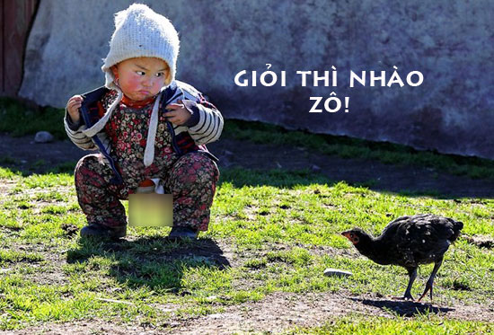 hình ảnh vui nhộn 2015