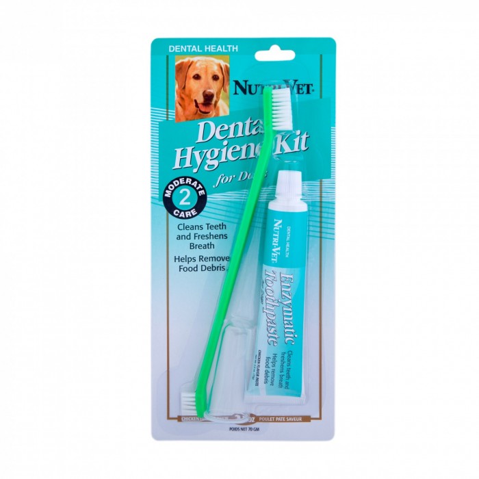 Top 10 Best Toothbrushes For Dogs mostaret