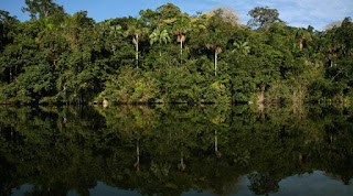 Masyarakat Amazon Mempunyai Jantung Tersehat