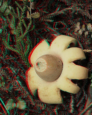 Koleksi Gambar 3D Koleksi Gambar 3D