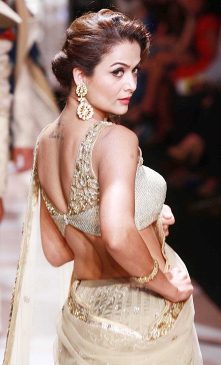 Amrita Arora Hot Bikini Stills Sexy Saree Backless Stills Hot