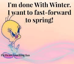 winter quotes done am funny tweety bird humor sayings cold quote spring thank colder than nice lovethispic timeline forward weather