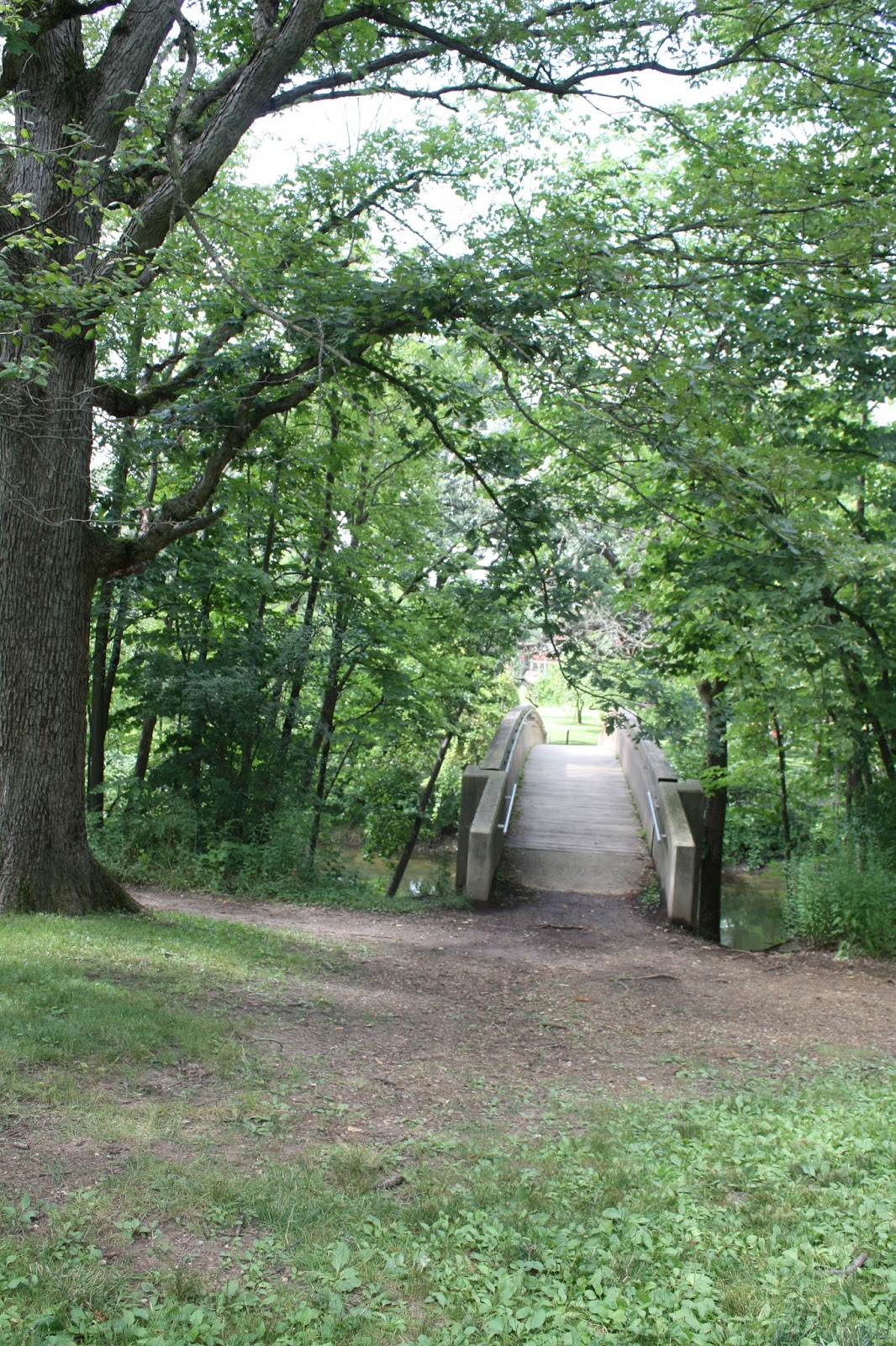 A Little Time and a Keyboard Knoch Knolls Nature Center and Hiking in