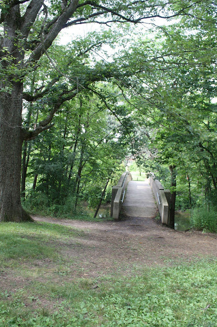 Stone bridge melding into the forest at Knoch Knolls