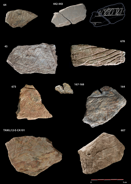 Une exceptionnelle découverte d'art rupestre vieux de 14000 ans en Bretagne