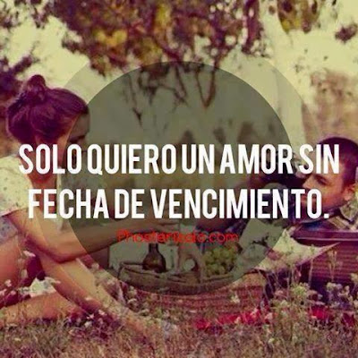 frases de amor para enamorar frases lindas de amor para enamorar