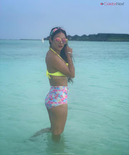 Neha Malik in Yellow Bikini Beautiful Actress Model in Spicy Yellow Bikini Pics .XYZ Exclusive 03