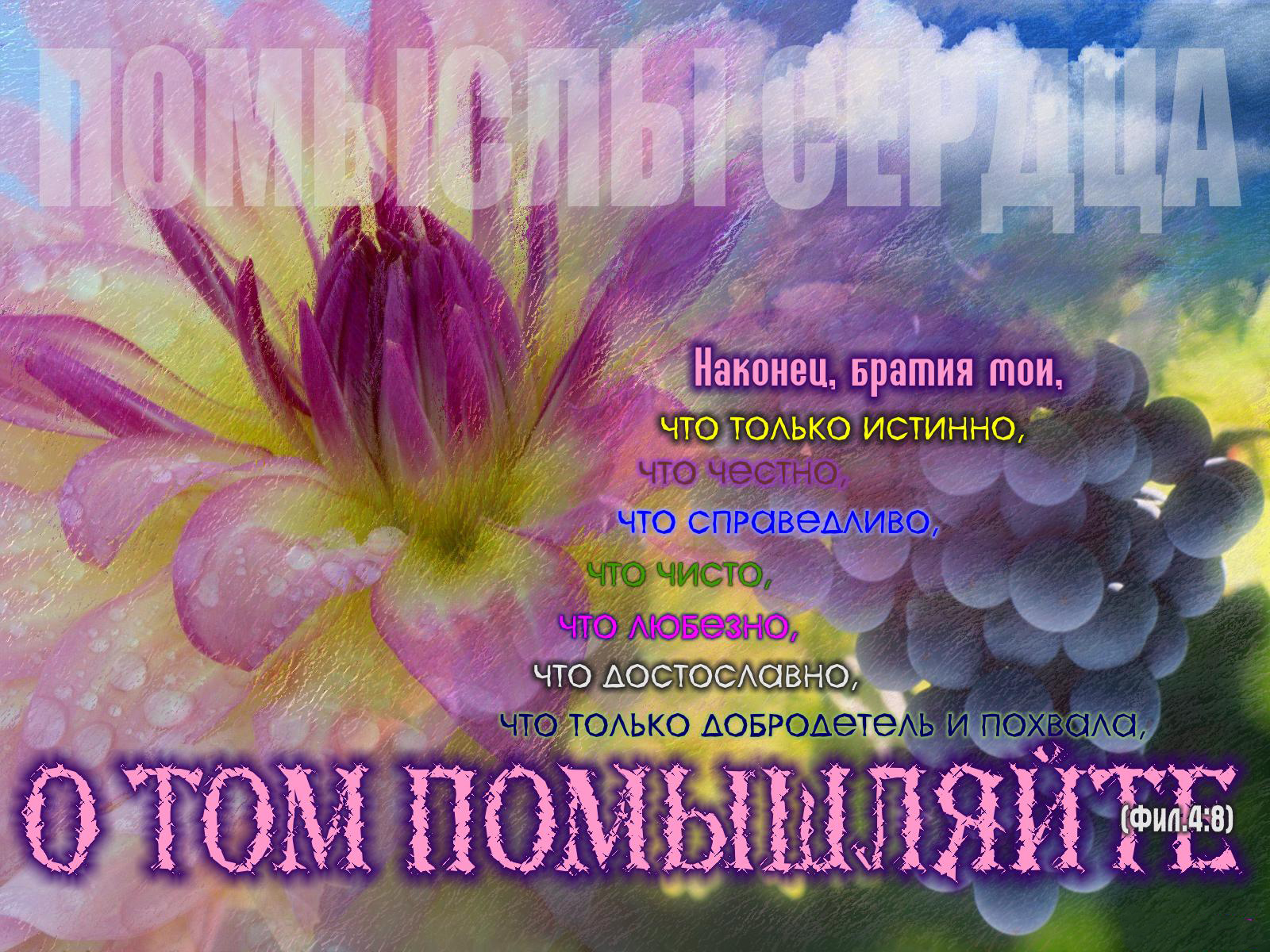 Христианские поздравления в открытках с надписью, поздравления новым