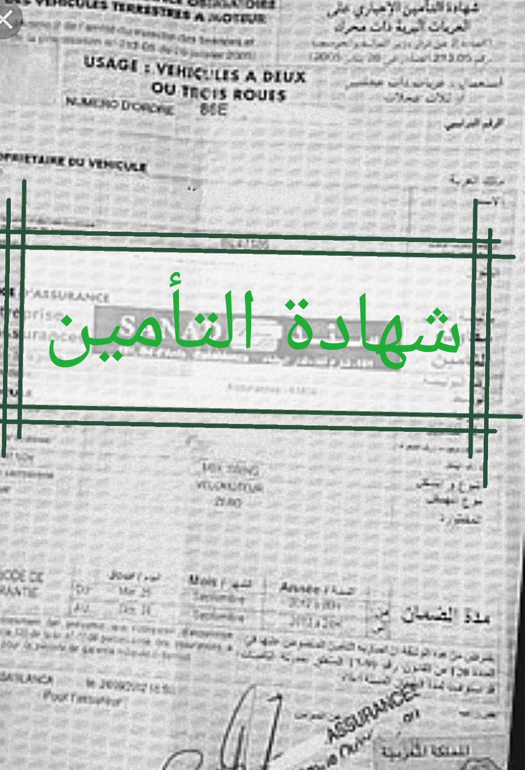 شهادة التأمين