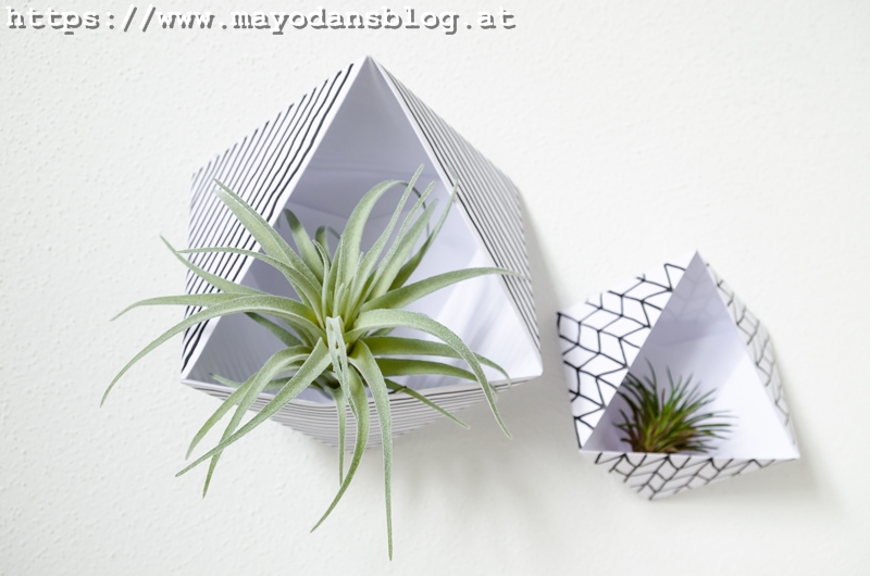 Diy Origami Papier Wandhalter Für Luftpflanzen Mayodans Blog