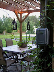 lights string italian pergola christmas twinkle strings bulbs knew exactly wanted clear round glass