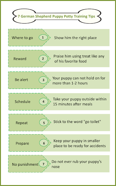 potty german shepherd puppy 7 german shepherd puppy potty tips potty german shepherd puppy 7 german shepherd puppy potty tips