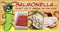 Resultat d'imatges de SALMONELLA