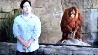 Lustige Menschen im Zoo neben Affengehege Lustige Menschen im Zoo neben Affengehege