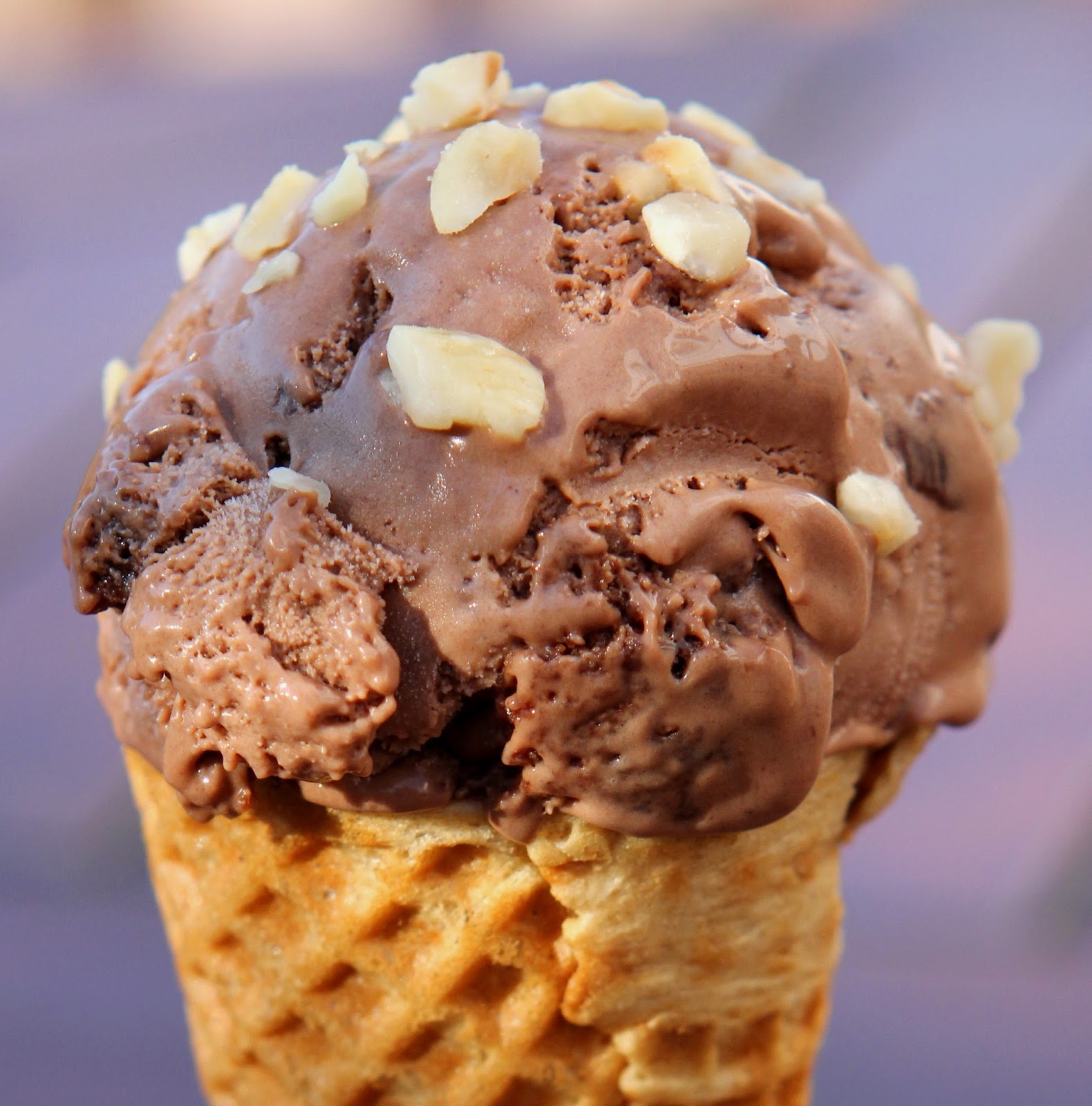 Gluten Free Alchemist Chocolate Fudge Brownie Ice Cream