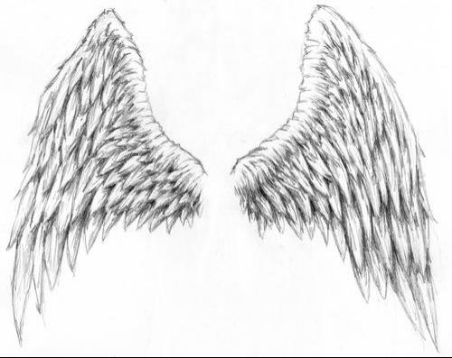 design wings tattoo