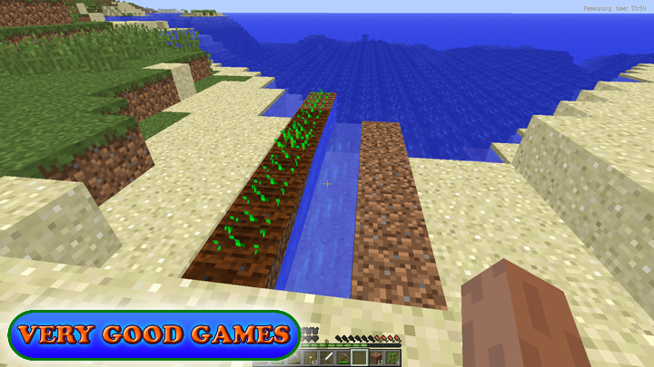 Minecraft game screenshot - farmland